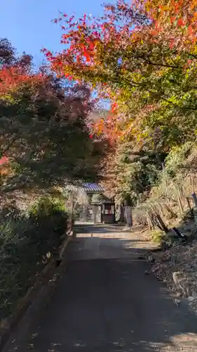 三鈷寺(京都府)