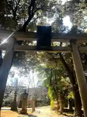 赤坂氷川神社の鳥居