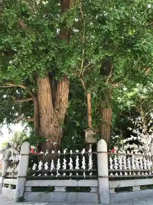 二日市八幡宮(福岡県)