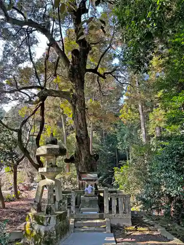 伊富岐神社(岐阜県)