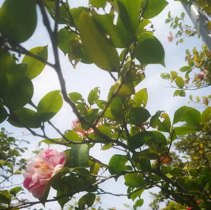 溝旗神社(肇國神社)の庭園