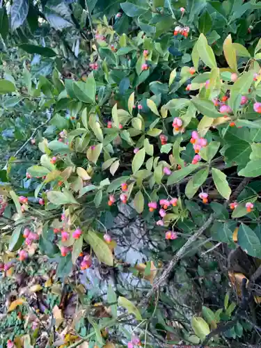 五龍地神社(福島県)