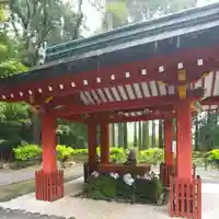 霧島神宮の手水舎