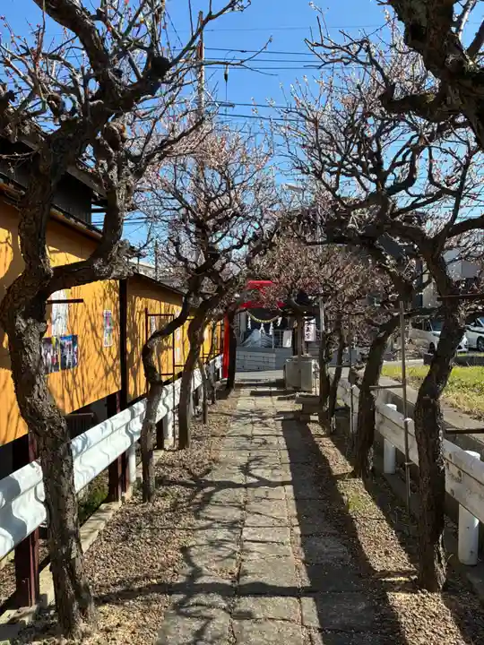 天満宮(千葉県)