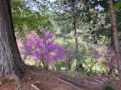 塩船観音寺の{uncategorized: "未分類", other: "その他", undefined: "問題あり", building: "その他建物", grave: "お墓", sacred_gate: "鳥居", guardian: "狛犬", statue: "像", buddha: "仏像", history: "歴史", nature: "自然", garden: "庭園", animal: "動物", pagoda: "塔", temizu: "手水舎", mountain_gate: "山門・神門", sanctuary: "本殿・本堂", subordinate: "末社・摂社", art: "芸術", scenery: "景色", jizo: "地蔵", ema: "絵馬", goshuin: "御朱印", omikuji: "おみくじ", items: "授与品その他", amulet: "お守り", goshuincho: "御朱印帳", eats: "食事", festival: "お祭り", votive_dance: "神楽", shichigosan: "七五三参", wedding: "結婚式", experience: "体験その他", initially: "初詣", around: "周辺", anti_infection: "感染症対策"}