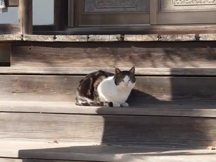 法華経寺(千葉県)