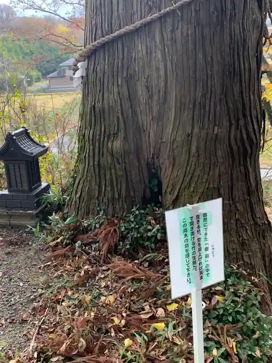 阿久津「田村神社」(郡山市阿久津町)旧社名:伊豆箱根三嶋三社(福島県)