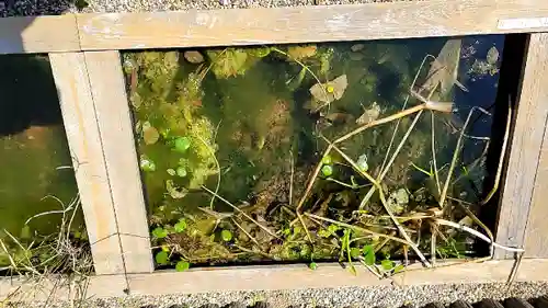 おふさ観音（観音寺）(奈良県)