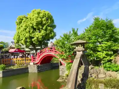 亀戸天神社のその他建物
