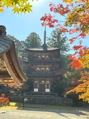 西明寺の{uncategorized: "未分類", other: "その他", undefined: "問題あり", building: "その他建物", grave: "お墓", sacred_gate: "鳥居", guardian: "狛犬", statue: "像", buddha: "仏像", history: "歴史", nature: "自然", garden: "庭園", animal: "動物", pagoda: "塔", temizu: "手水舎", mountain_gate: "山門・神門", sanctuary: "本殿・本堂", subordinate: "末社・摂社", art: "芸術", scenery: "景色", jizo: "地蔵", ema: "絵馬", goshuin: "御朱印", omikuji: "おみくじ", items: "授与品その他", amulet: "お守り", goshuincho: "御朱印帳", eats: "食事", festival: "お祭り", votive_dance: "神楽", shichigosan: "七五三参", wedding: "結婚式", experience: "体験その他", initially: "初詣", around: "周辺", anti_infection: "感染症対策"}