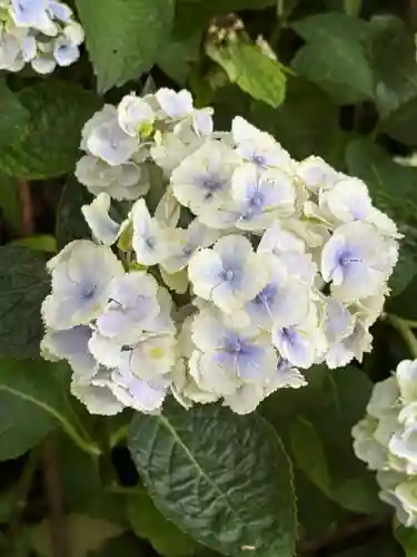 長谷寺(神奈川県)