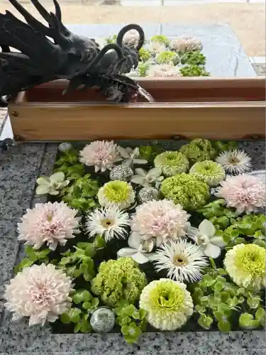 川越八幡宮(埼玉県)