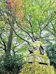 鰐淵寺(島根県)