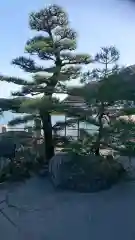 二見興玉神社の自然