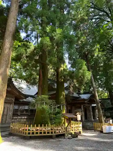 高千穂神社(宮崎県)