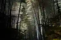 高台寺(高台寿聖禅寺・高臺寺)(京都府)