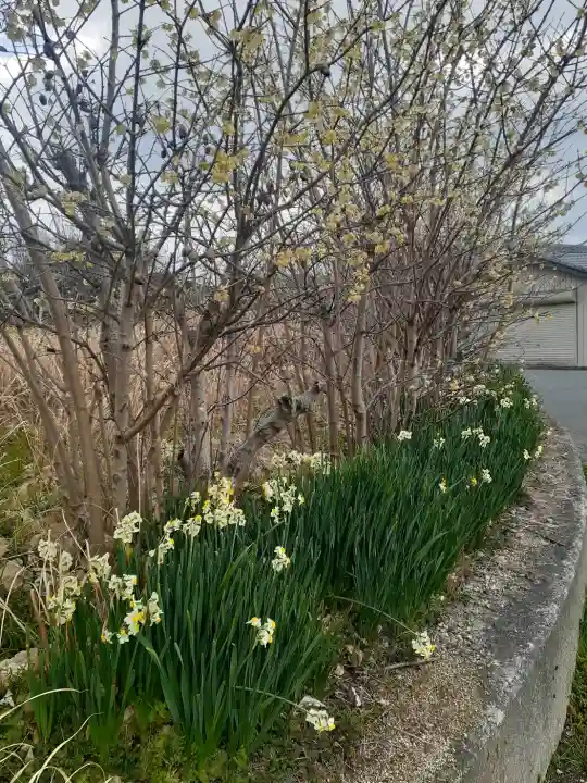 風の森神社の{uncategorized: "未分類", other: "その他", undefined: "問題あり", building: "その他建物", grave: "お墓", sacred_gate: "鳥居", guardian: "狛犬", statue: "像", buddha: "仏像", history: "歴史", nature: "自然", garden: "庭園", animal: "動物", pagoda: "塔", temizu: "手水舎", mountain_gate: "山門・神門", sanctuary: "本殿・本堂", subordinate: "末社・摂社", art: "芸術", scenery: "景色", jizo: "地蔵", ema: "絵馬", goshuin: "御朱印", omikuji: "おみくじ", items: "授与品その他", amulet: "お守り", goshuincho: "御朱印帳", eats: "食事", festival: "お祭り", votive_dance: "神楽", shichigosan: "七五三参", wedding: "結婚式", experience: "体験その他", initially: "初詣", around: "周辺", anti_infection: "感染症対策"}