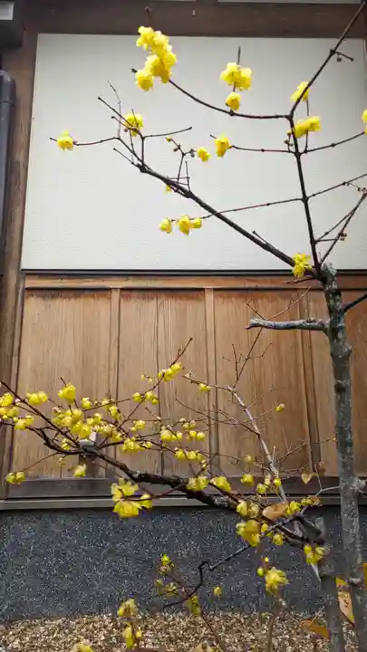 勝林寺(京都府)