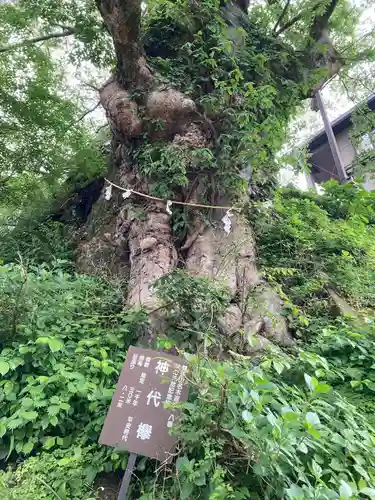 武蔵御嶽神社(東京都)