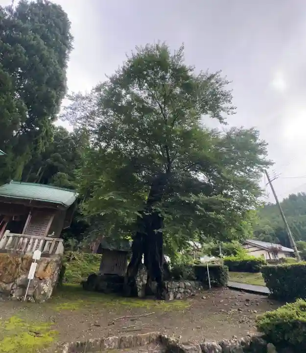 苅田比売神社(福井県)