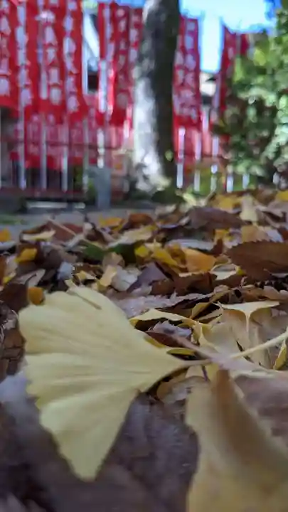白山神社の自然