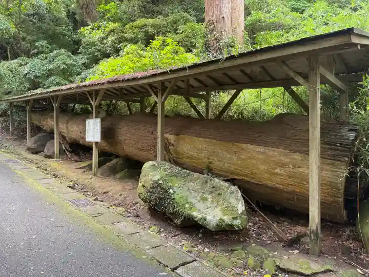 鵜戸神宮の{uncategorized: "未分類", other: "その他", undefined: "問題あり", building: "その他建物", grave: "お墓", sacred_gate: "鳥居", guardian: "狛犬", statue: "像", buddha: "仏像", history: "歴史", nature: "自然", garden: "庭園", animal: "動物", pagoda: "塔", temizu: "手水舎", mountain_gate: "山門・神門", sanctuary: "本殿・本堂", subordinate: "末社・摂社", art: "芸術", scenery: "景色", jizo: "地蔵", ema: "絵馬", goshuin: "御朱印", omikuji: "おみくじ", items: "授与品その他", amulet: "お守り", goshuincho: "御朱印帳", eats: "食事", festival: "お祭り", votive_dance: "神楽", shichigosan: "七五三参", wedding: "結婚式", experience: "体験その他", initially: "初詣", around: "周辺", anti_infection: "感染症対策"}