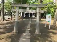 日枝神社の鳥居
