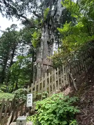 玉置神社(奈良県)