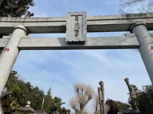 亀ケ池八幡宮の鳥居