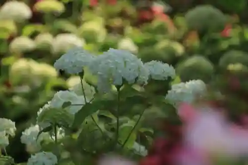 豊景神社の自然