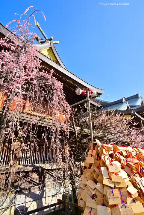 湯島天満宮(東京都)