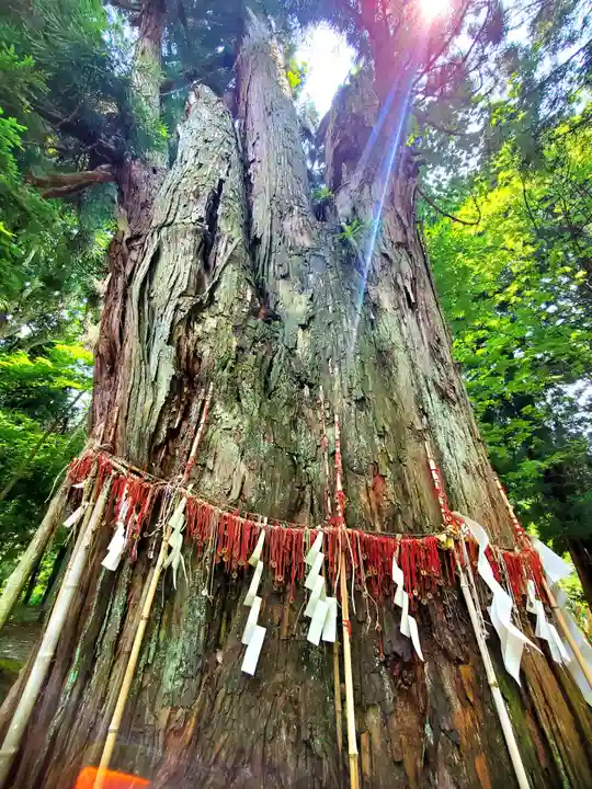 磐椅神社(福島県)