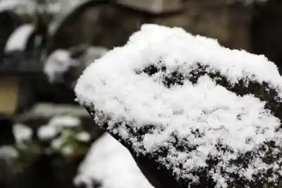 くまくま神社(導きの社 熊野町熊野神社)の狛犬