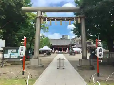 浅草神社の鳥居