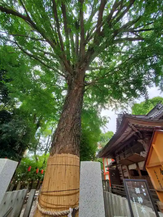 田無神社(東京都)