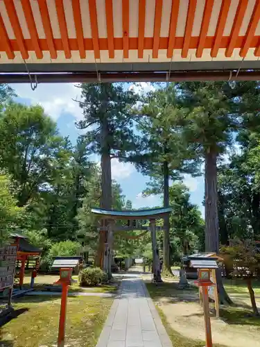 出石神社の鳥居