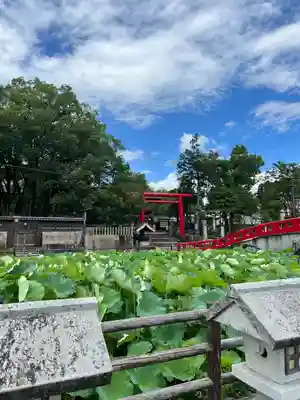 青井阿蘇神社(熊本県)