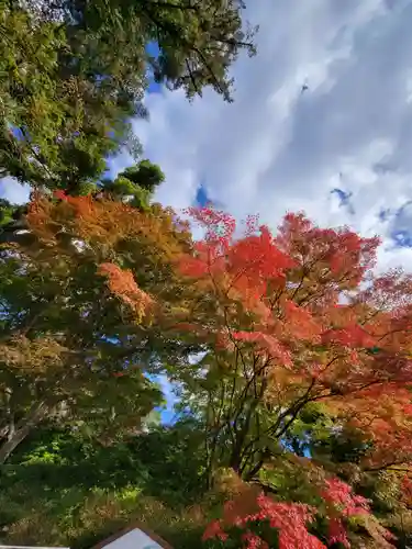 出雲大神宮の景色