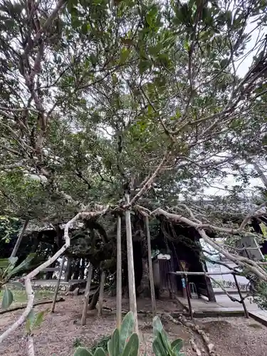 金剛王院(京都府)