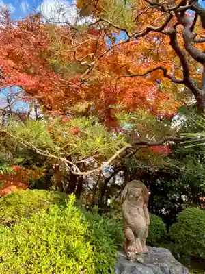 華厳寺（鈴虫寺）の像