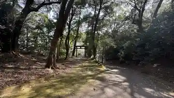 西麻植八幡神社(徳島県)