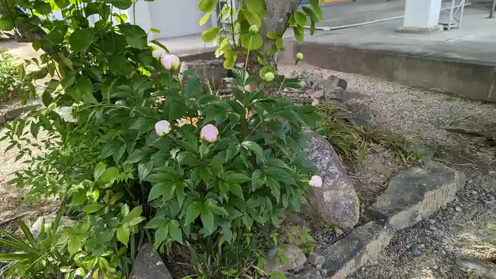 阿弥陀寺の自然