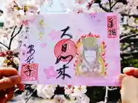 温泉山 安楽寺(四国霊場第六番札所)の御朱印