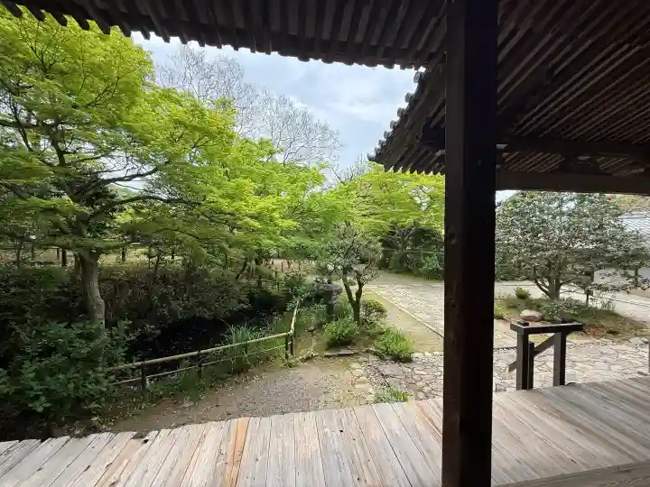 白毫寺の{uncategorized: "未分類", other: "その他", undefined: "問題あり", building: "その他建物", grave: "お墓", sacred_gate: "鳥居", guardian: "狛犬", statue: "像", buddha: "仏像", history: "歴史", nature: "自然", garden: "庭園", animal: "動物", pagoda: "塔", temizu: "手水舎", mountain_gate: "山門・神門", sanctuary: "本殿・本堂", subordinate: "末社・摂社", art: "芸術", scenery: "景色", jizo: "地蔵", ema: "絵馬", goshuin: "御朱印", omikuji: "おみくじ", items: "授与品その他", amulet: "お守り", goshuincho: "御朱印帳", eats: "食事", festival: "お祭り", votive_dance: "神楽", shichigosan: "七五三参", wedding: "結婚式", experience: "体験その他", initially: "初詣", around: "周辺", anti_infection: "感染症対策"}