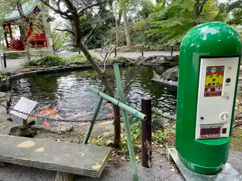 伊豆山神社の建物その他