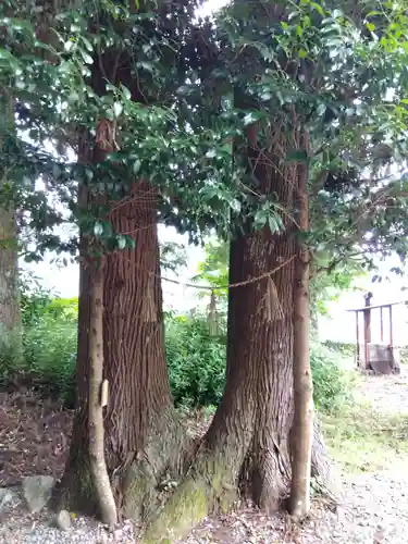 乗政八幡神社(岐阜県)