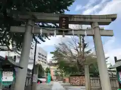 今戸神社の鳥居