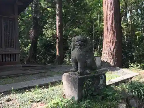 白山神社の狛犬