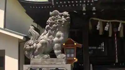 杉山神社（和田町）の狛犬