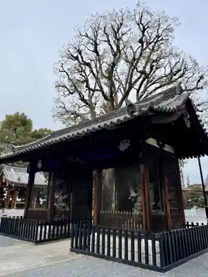 宝仙寺(東京都)